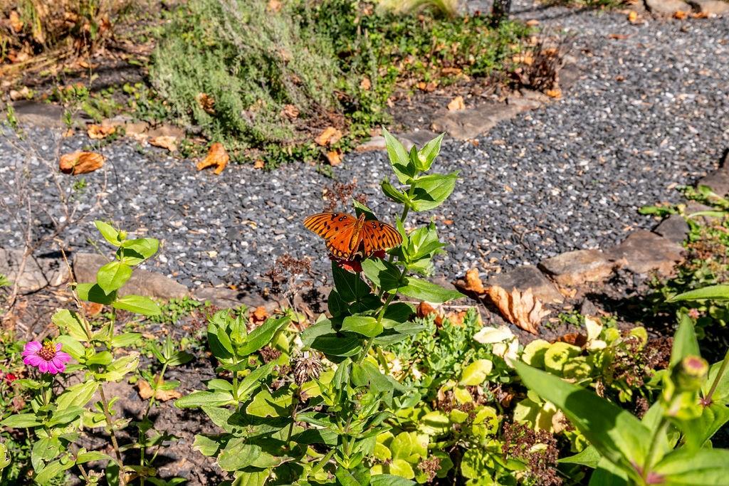 1084 Sanders Avenue Southeast, Unit AB Atlanta, GA 30316 - Photo 9 of 76