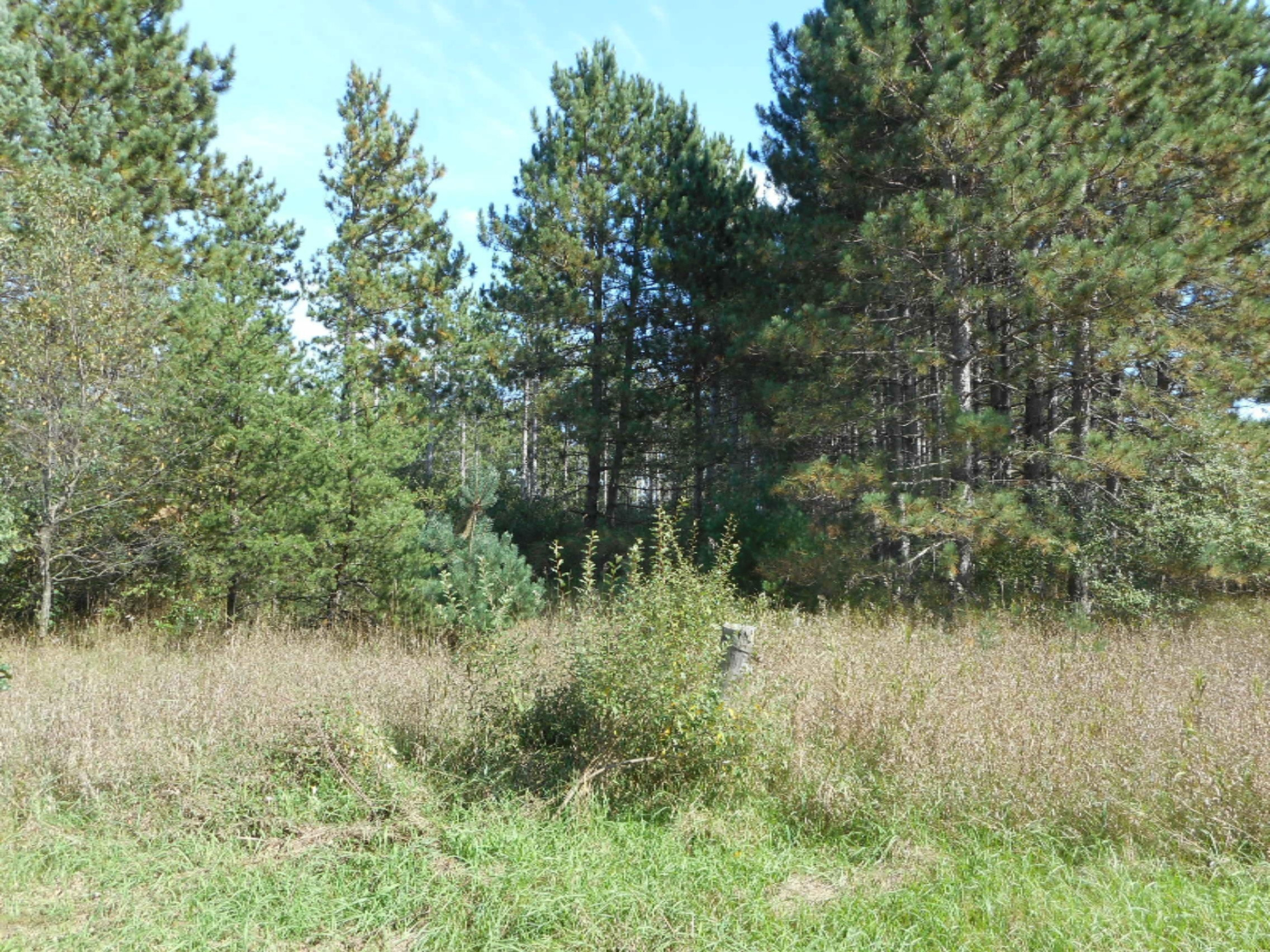 DSCN1602