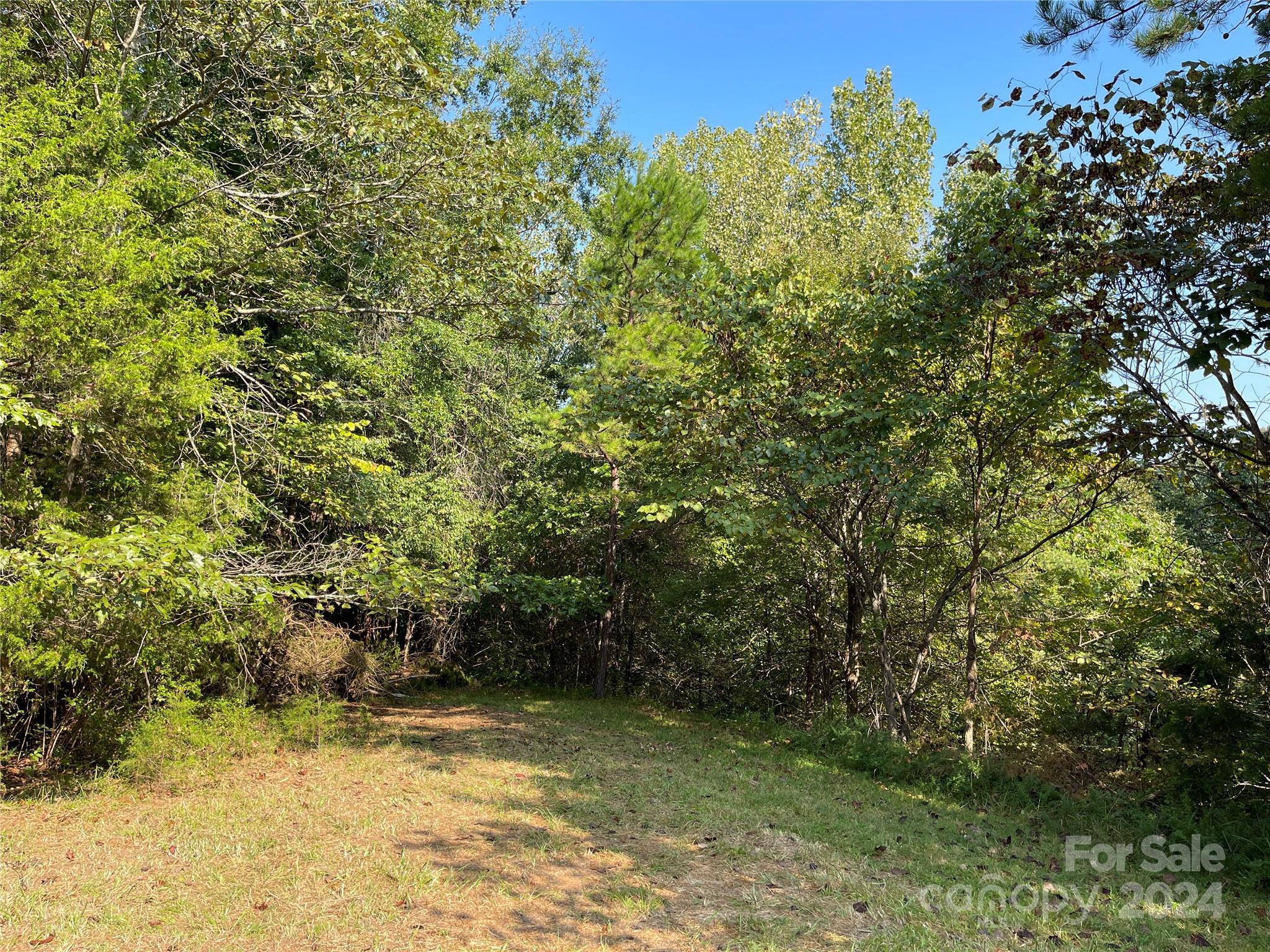 1790 Shearer Road Davidson, NC 28036 - Photo 18 of 23 Gallery Image 18