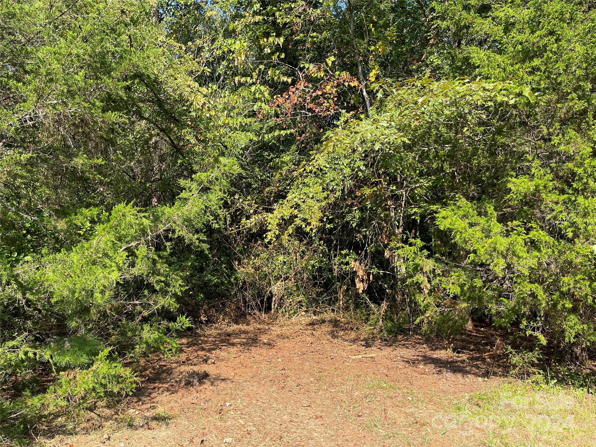 1790 Shearer Road Davidson, NC 28036 - Photo 19 of 23 Gallery Image 19