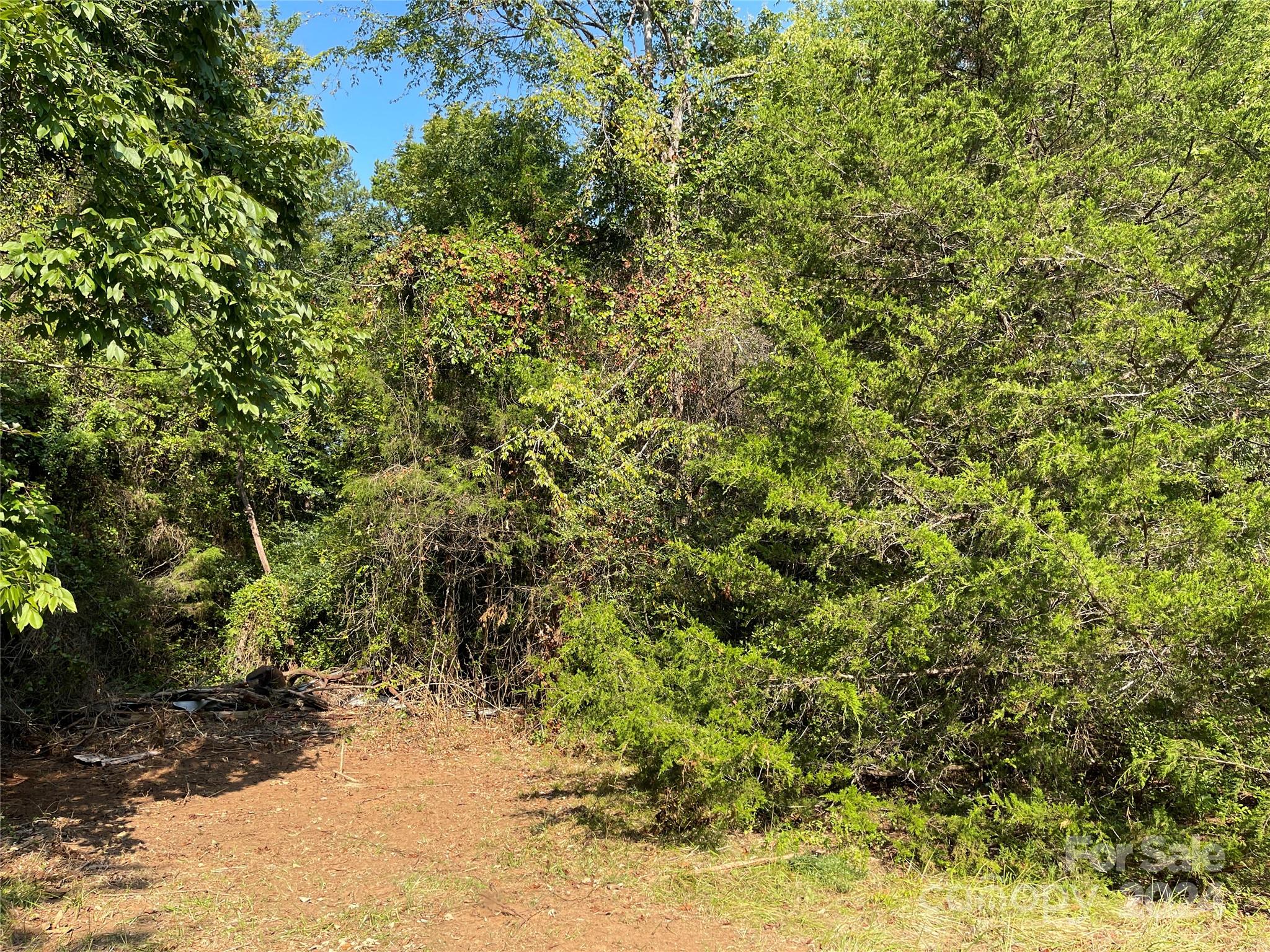 1790 Shearer Road Davidson, NC 28036 - Photo 20 of 23 Gallery Image 20