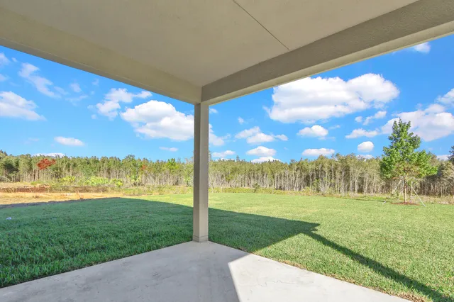 a view of a back yard