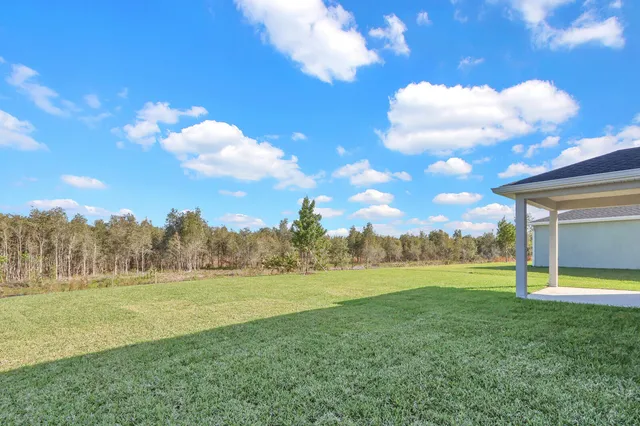 a view of a big yard with potted plants and large tree