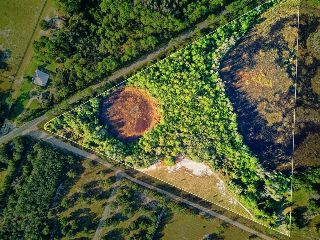 Lake Erie Road Groveland, FL 34736 - Photo 3 of 8 a view of a garden