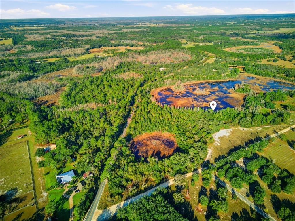 Lake Erie Road Groveland, FL 34736 - Photo 5 of 8 a view of a lush green field with lots of green plants in it
