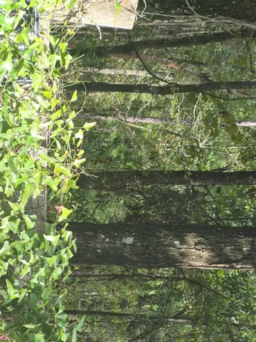 $160,000 | 2390 Northwest 65th Avenue, Bell, FL 32619