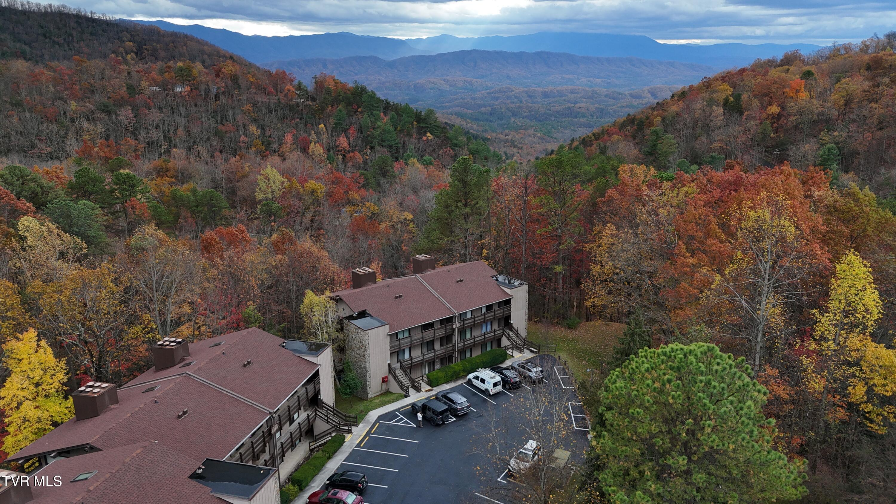 1081 Cove Road, Unit 1033 Sevierville, TN 37876 - Photo 43 of 57 dji_fly_20241120_145046_0875_17322002113