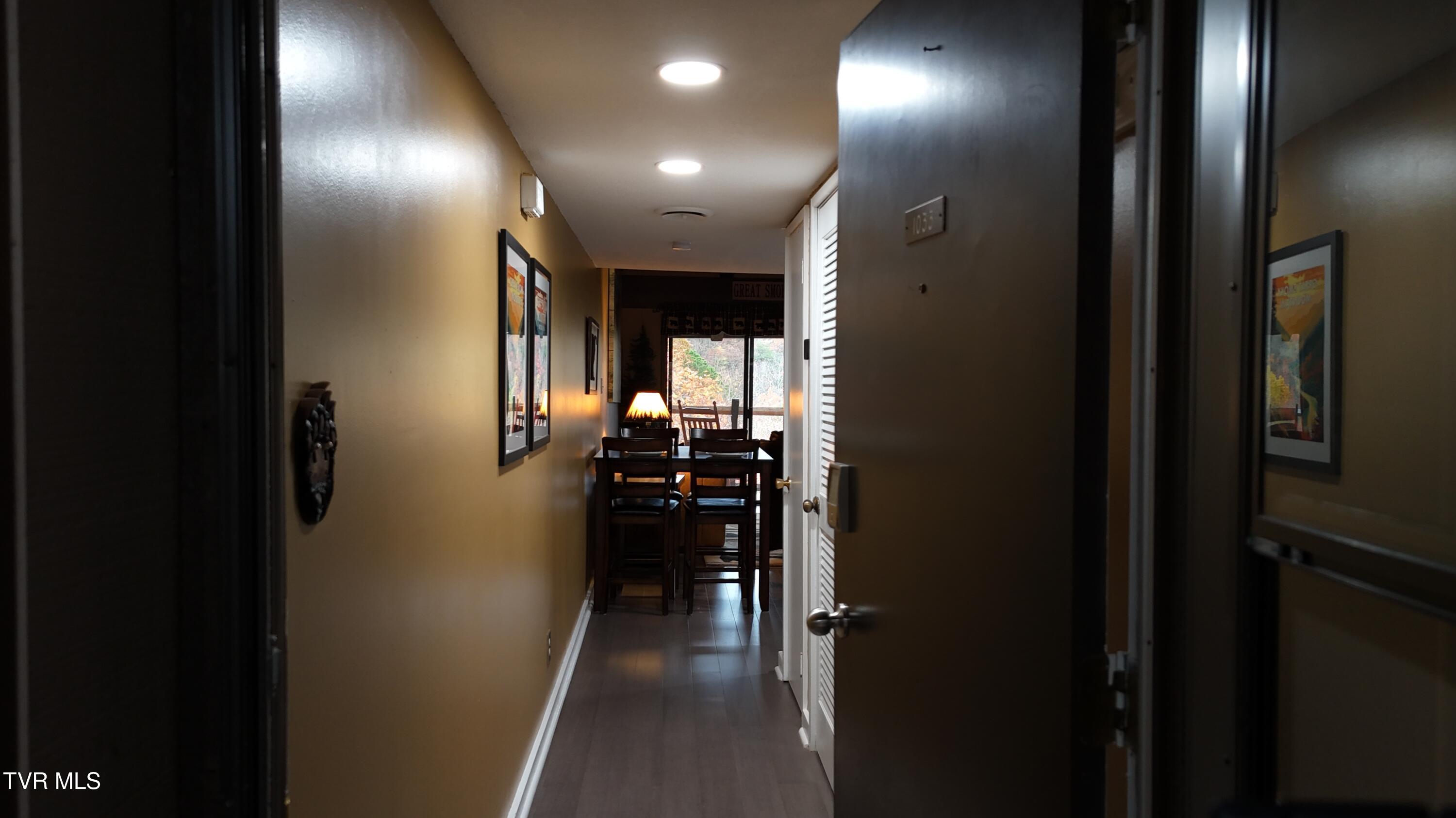 1081 Cove Road, Unit 1033 Sevierville, TN 37876 - Photo 5 of 57 dji_fly_20241120_150016_0897_17322001989