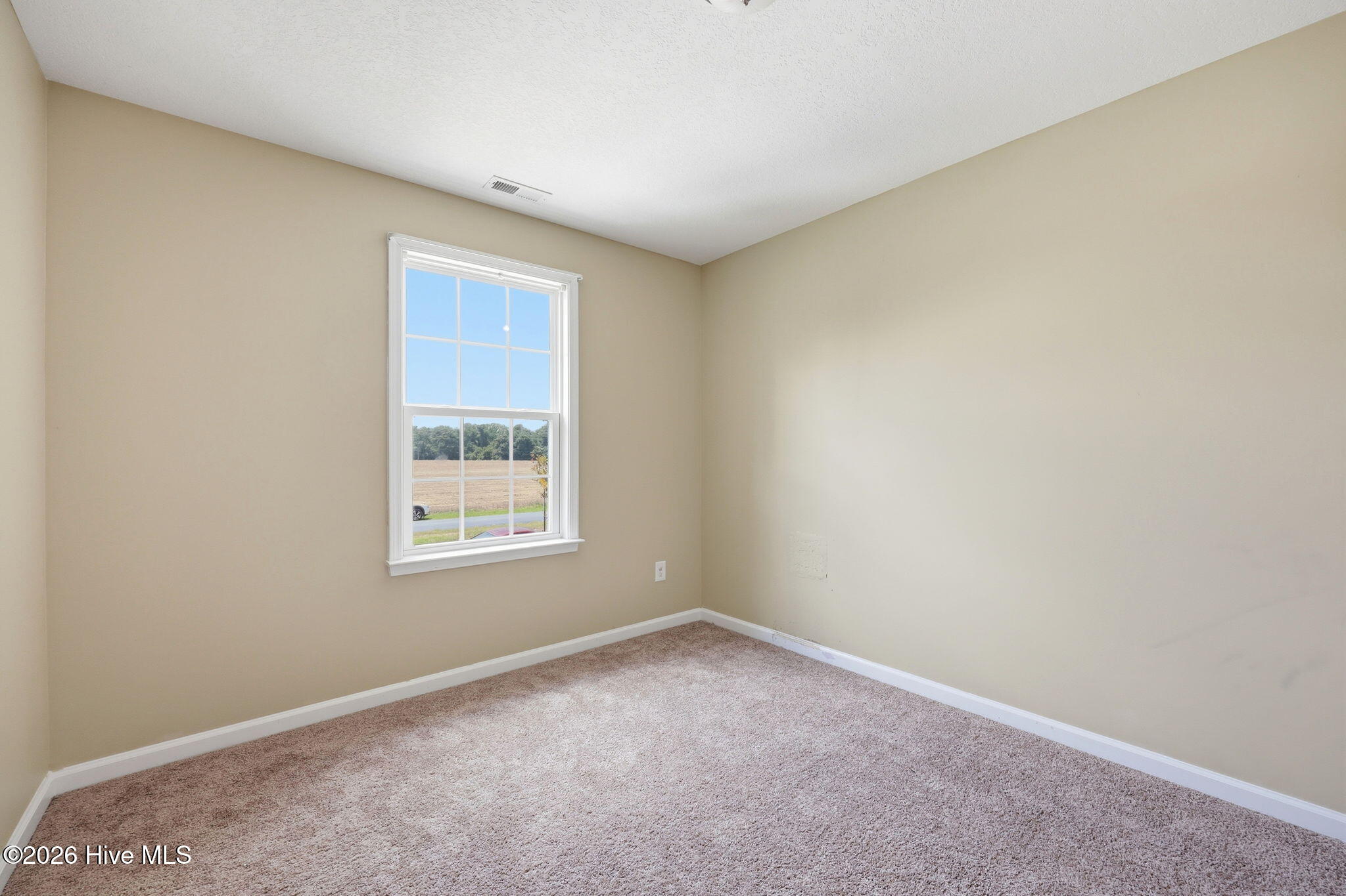 250 West Lake Road Raeford, NC 28376 - Photo 17 of 31 37-web-or-mls-IMG_3111