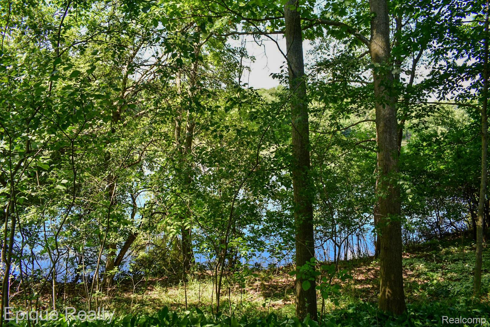 300 West Dewey Road Owosso, MI 48867 - Photo 8 of 15 300 W Dewey-02.jpg
