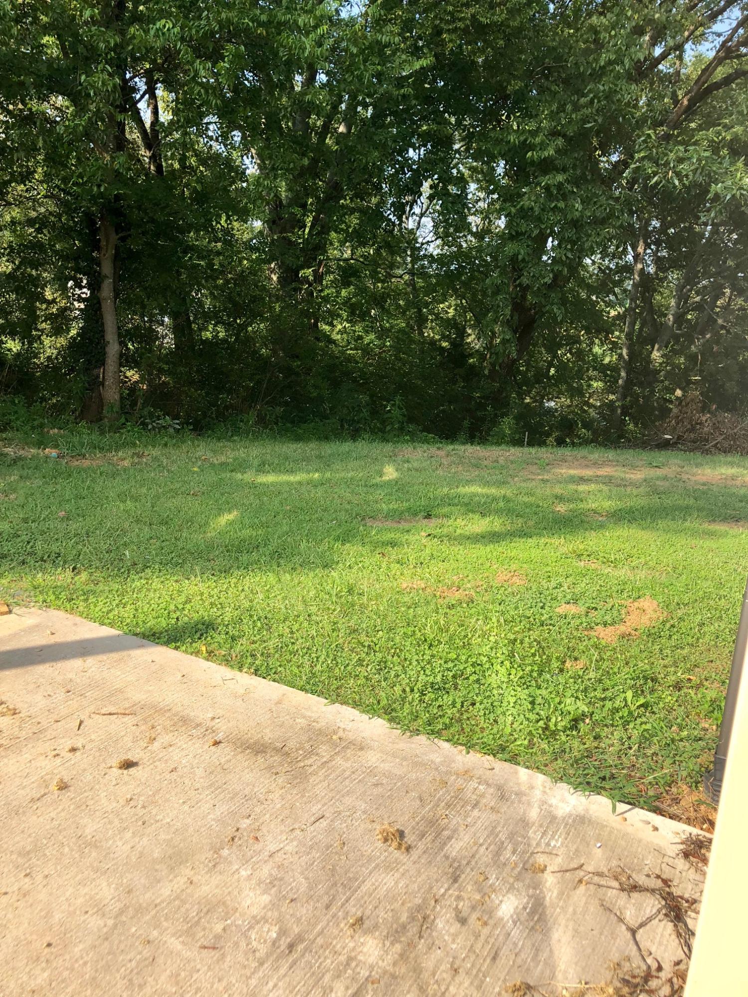 4203 Pea Ridge Road Maryville, TN 37804 - Photo 17 of 17 IMG_2334
