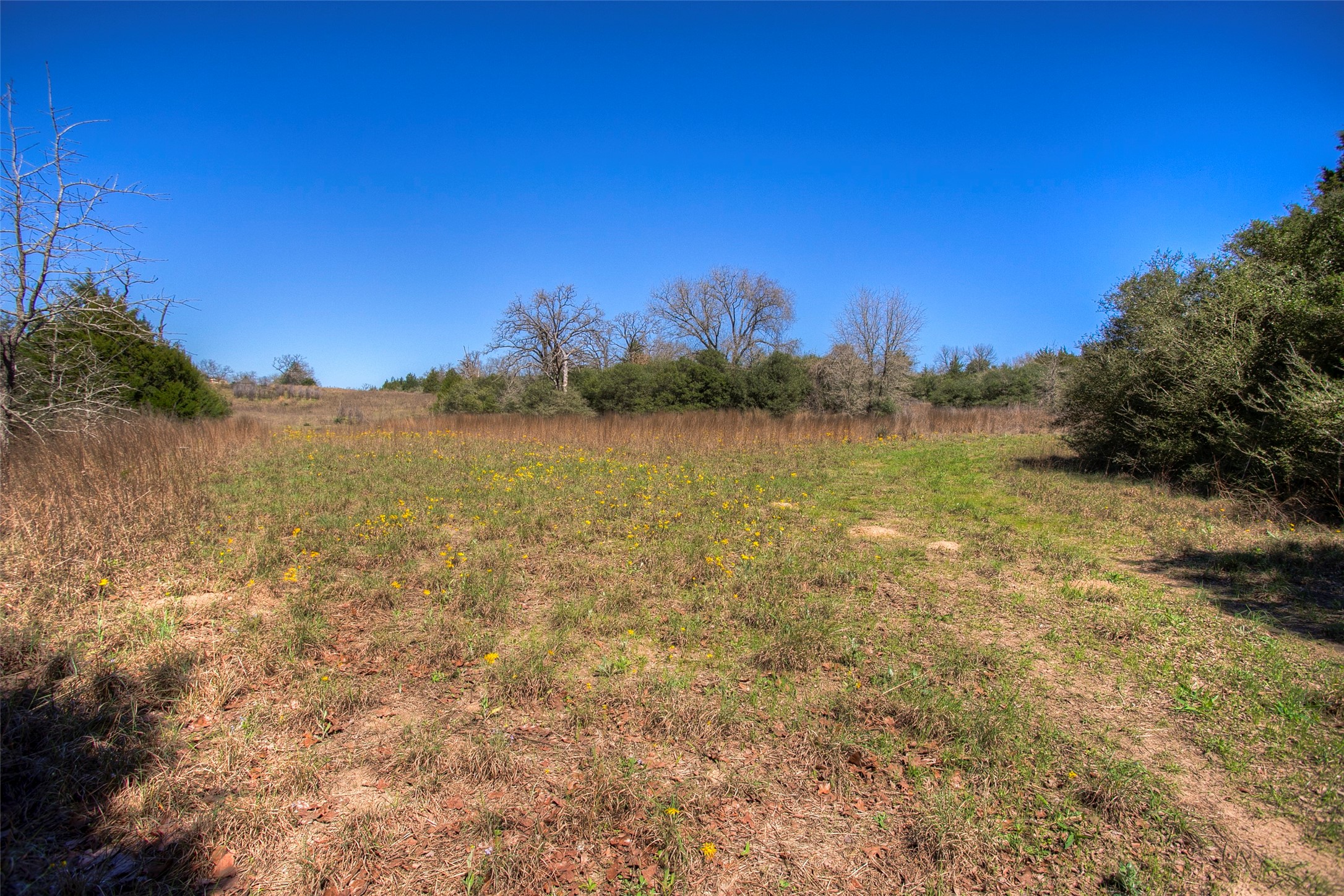 482 County Road 482 Normangee, TX 77871 - Photo 36 of 49