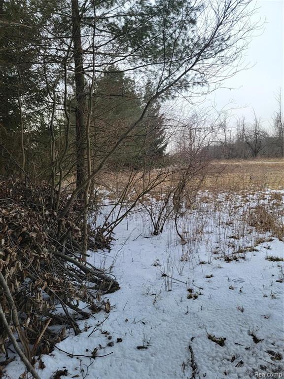 0 Mayville Road Marlette, MI 48453 - Photo 11 of 11