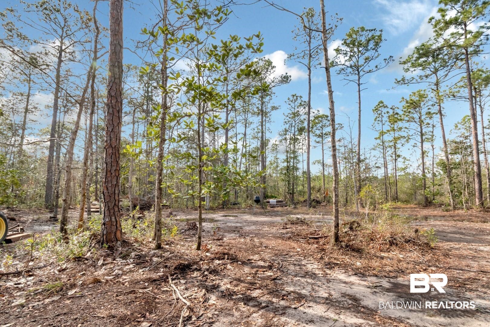 5250 Lossing Road Coden, AL 36523 - Photo 2 of 4 View of local wilderness
