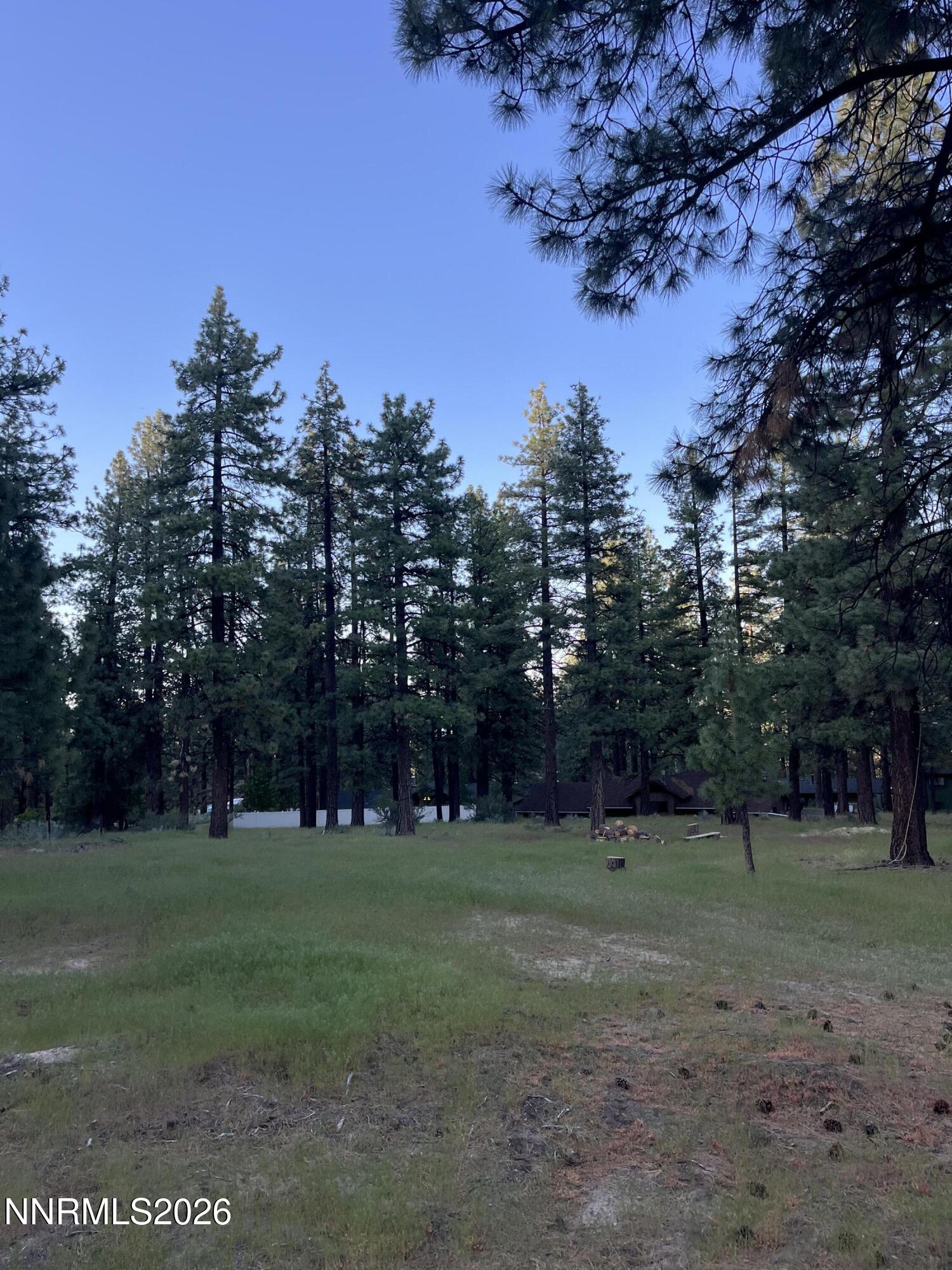 4300 Meadow Wood Road Carson City, NV 89703 - Photo 15 of 15 a view of a park with trees in the background