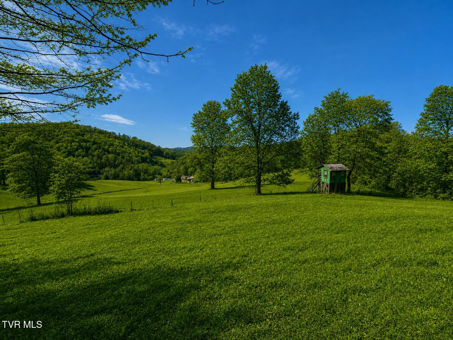 219 Ridge Road Eidson, TN 37731 - Photo 6 of 72 _Pic6 (3)