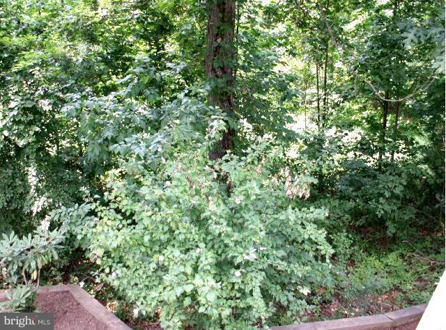 3418 Annandale Road Falls Church, VA 22042 - Photo 14 of 30 View from the Deck