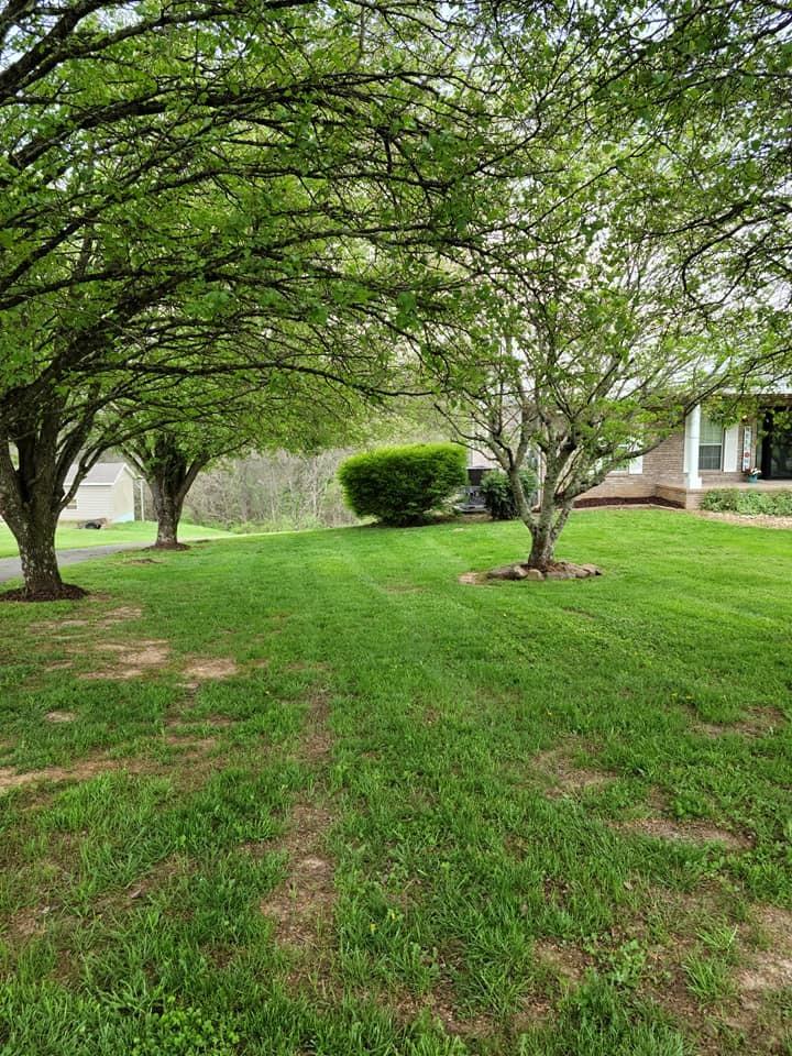 893 Forgety Road Jefferson City, TN 37760 - Photo 34 of 38 2nd bath main (28)