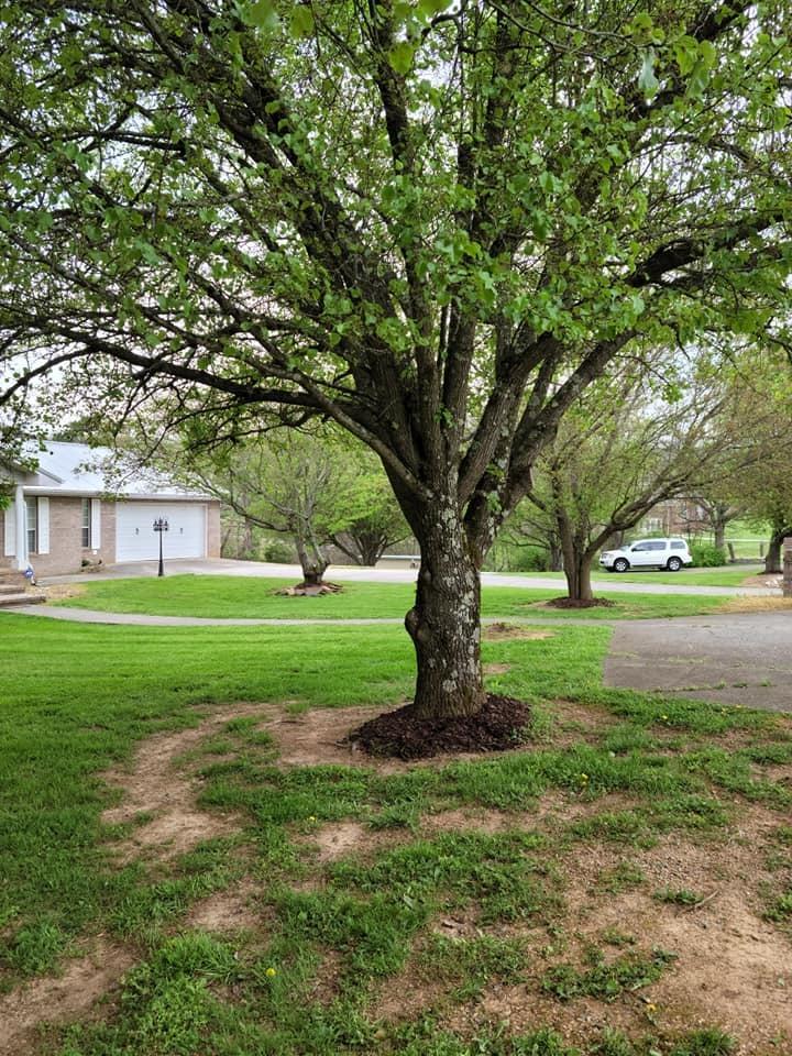 893 Forgety Road Jefferson City, TN 37760 - Photo 35 of 38 2nd bath main (24)