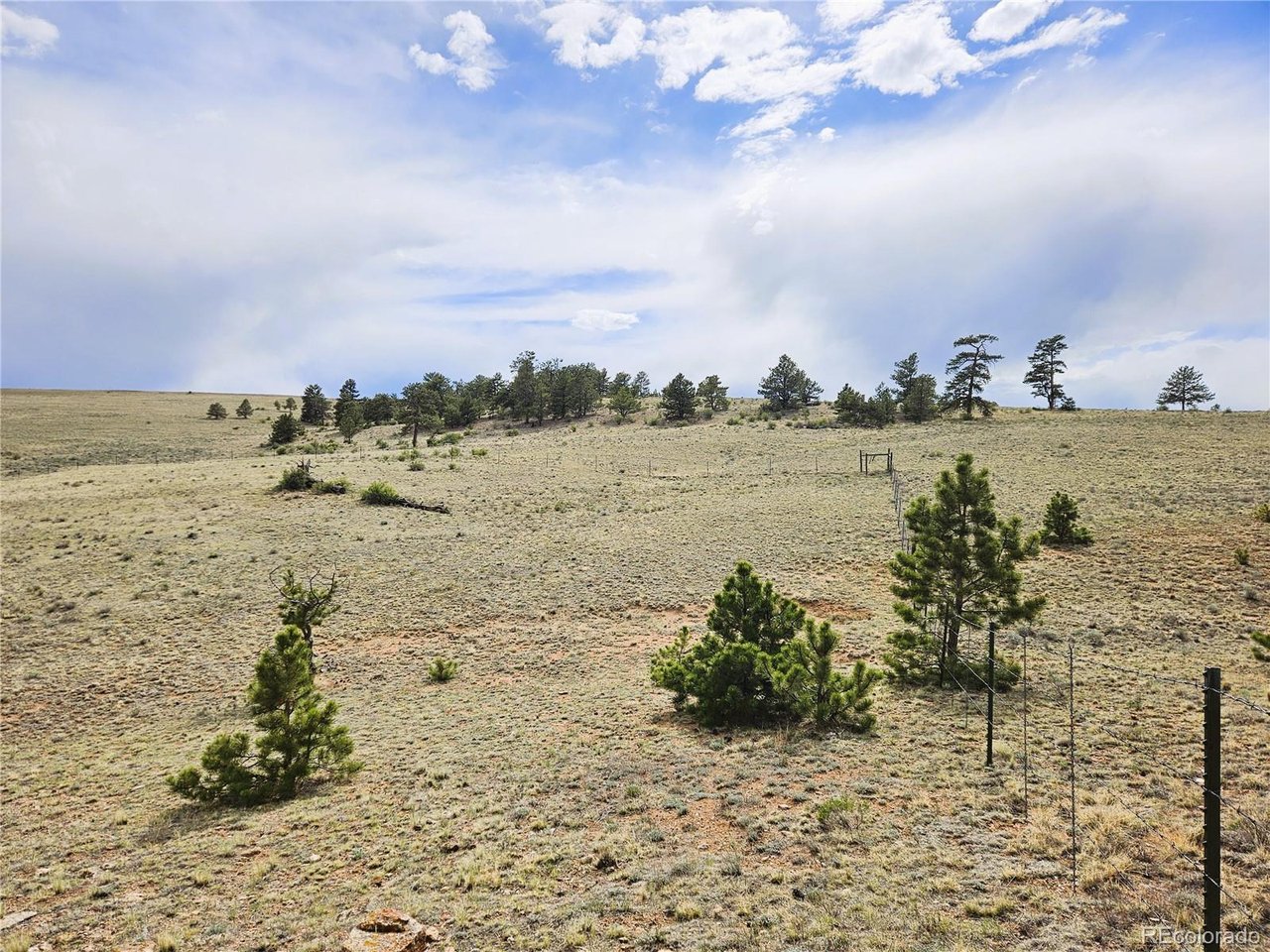 24131 Chato Road Hartsel, CO 80449 - Photo 2 of 28