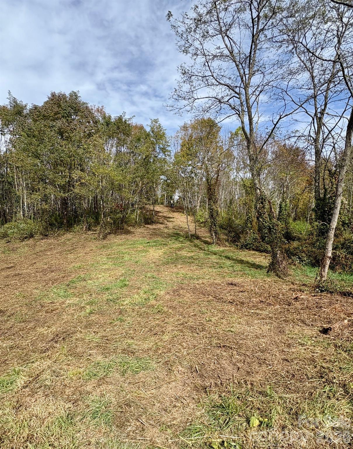 2 Turkey Trot Road Clyde, NC 28721 - Photo 3 of 48