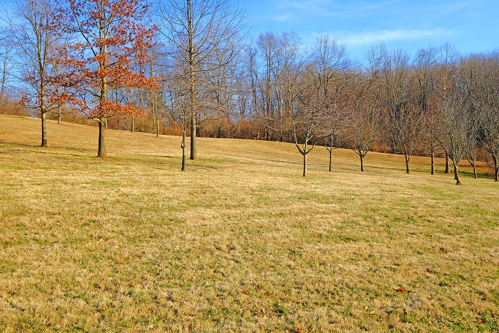 9765 East Prospect Road Hillsboro, OH 45133 - Photo 59 of 65