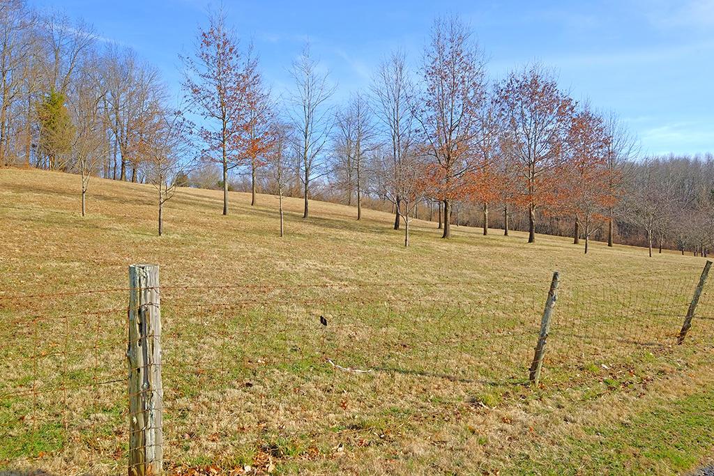 9765 East Prospect Road Hillsboro, OH 45133 - Photo 60 of 65