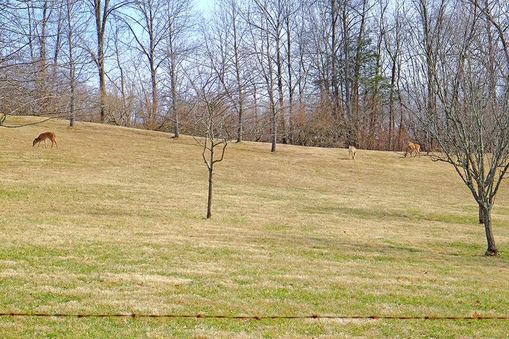9765 East Prospect Road Hillsboro, OH 45133 - Photo 61 of 65