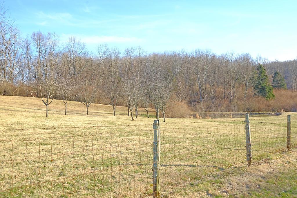 9765 East Prospect Road Hillsboro, OH 45133 - Photo 63 of 65