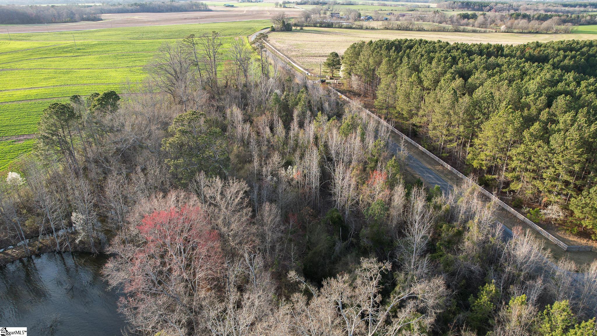 24 Hobby Lane Kinards, SC 29355 - Photo 6 of 16