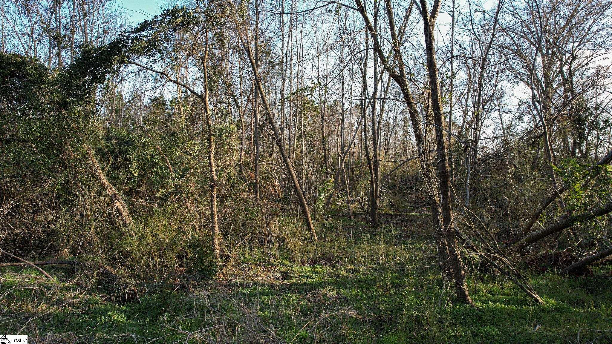 24 Hobby Lane Kinards, SC 29355 - Photo 7 of 16