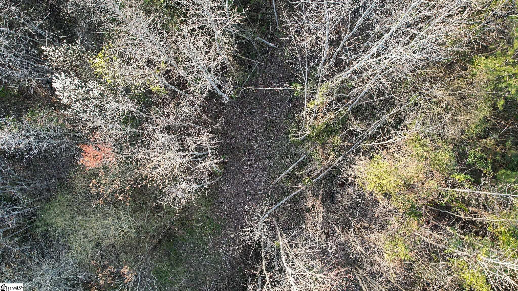 24 Hobby Lane Kinards, SC 29355 - Photo 9 of 16