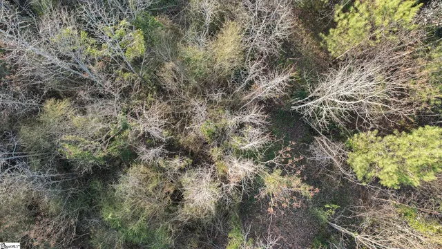 $60,000 | 24 Hobby Lane, Kinards, SC 29355