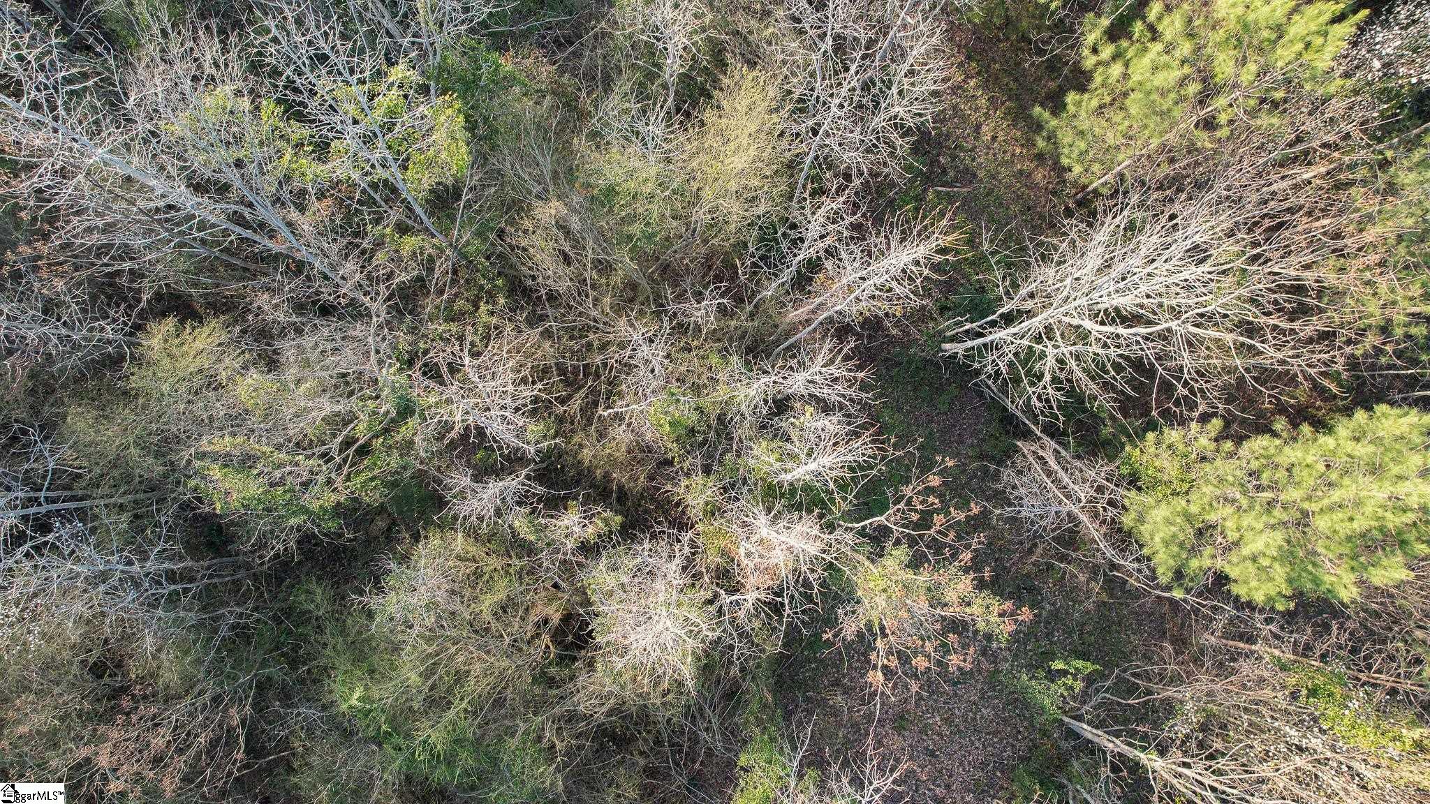 24 Hobby Lane Kinards, SC 29355 - Photo 10 of 16