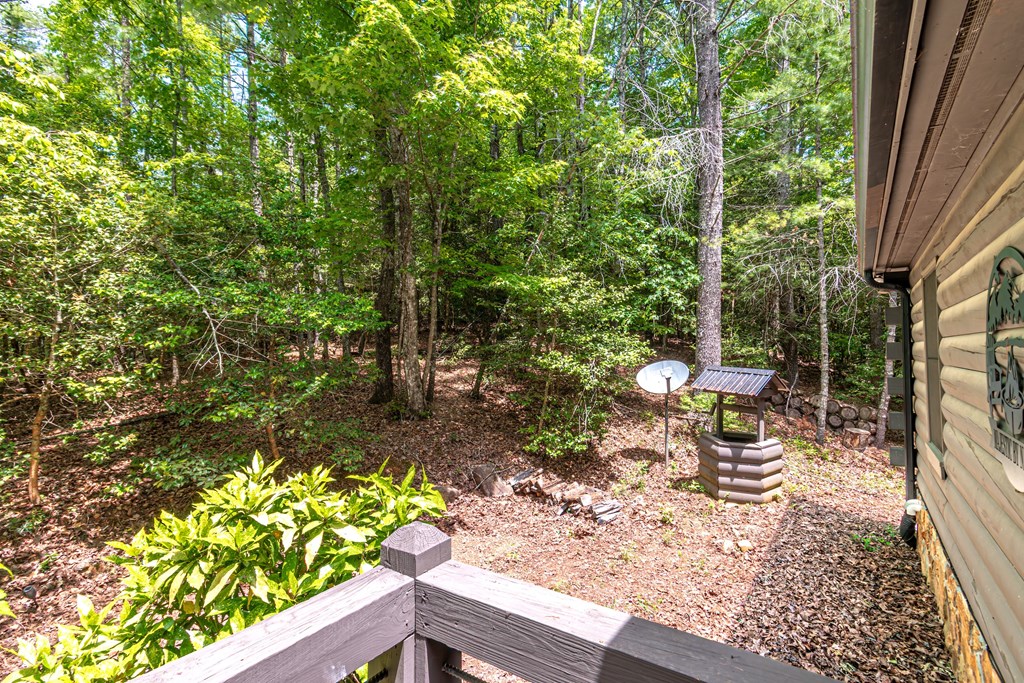 347 Dowd Road Morganton, GA 30560 - Photo 63 of 71 Gallery Image 63