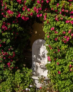 $5,395,000 | 459 Flores De Oro, Rancho Santa Fe, CA 92067