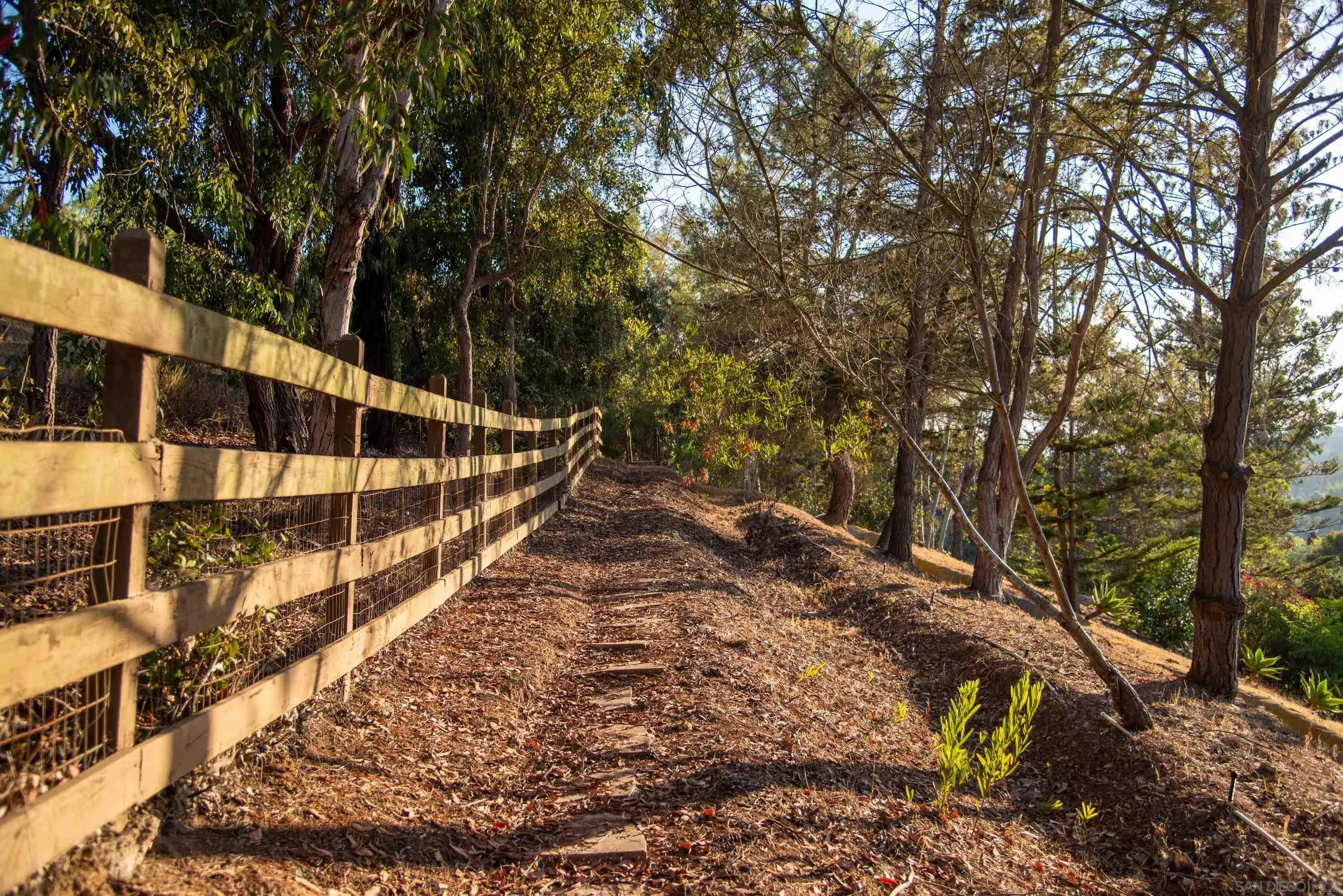 459 Flores De Oro Rancho Santa Fe, CA 92067 - Photo 9 of 25 a view of a yard with large trees
