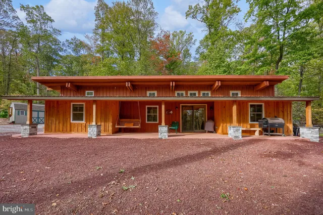 a view of a forest with a mountain
