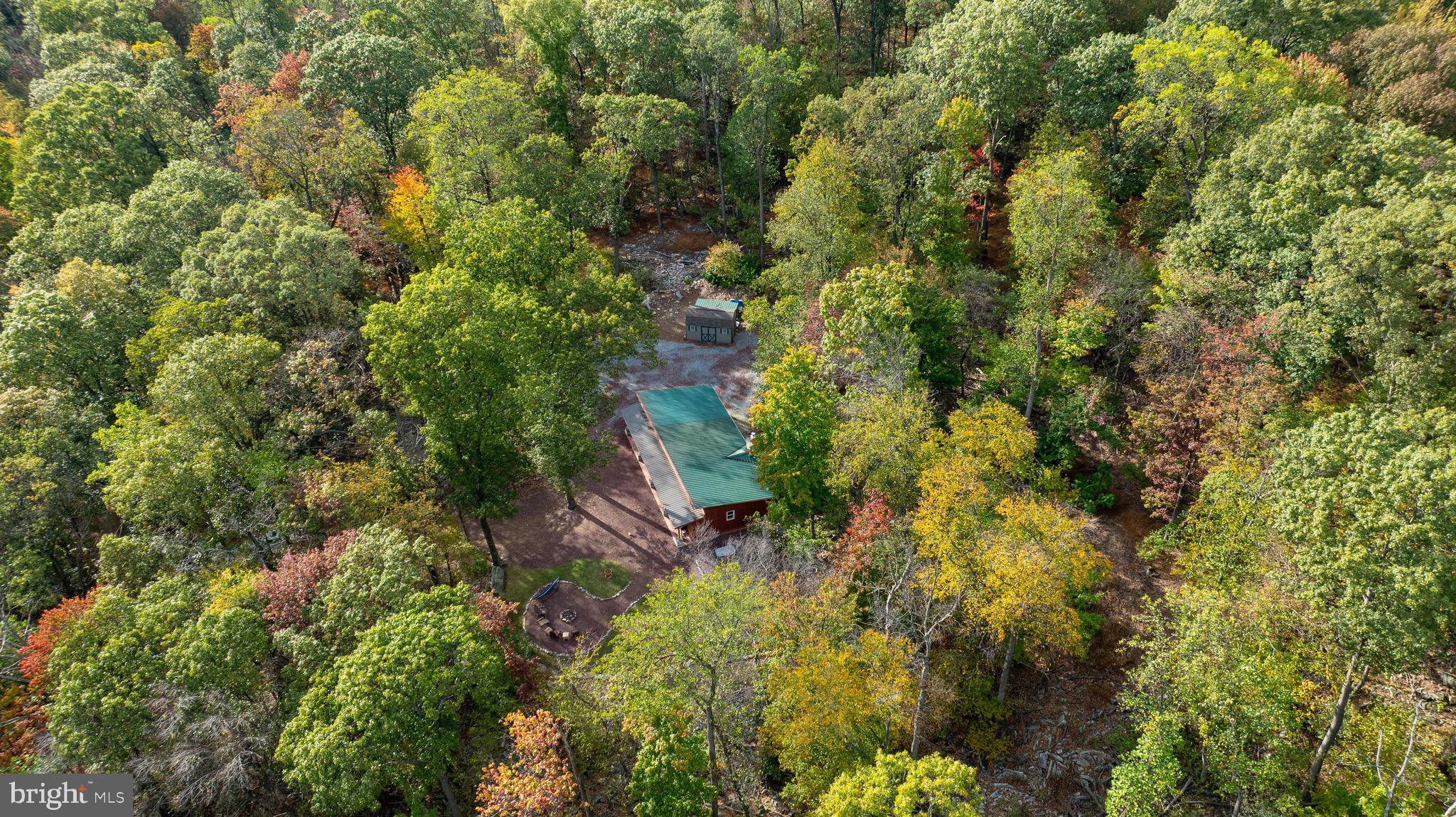 485 Airport Road Bethel, PA 19507 - Photo 67 of 71 a view of a house with a tree