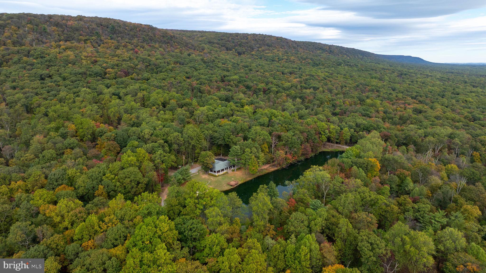 485 Airport Road Bethel, PA 19507 - Photo 9 of 71 a view of a forest with a mountain