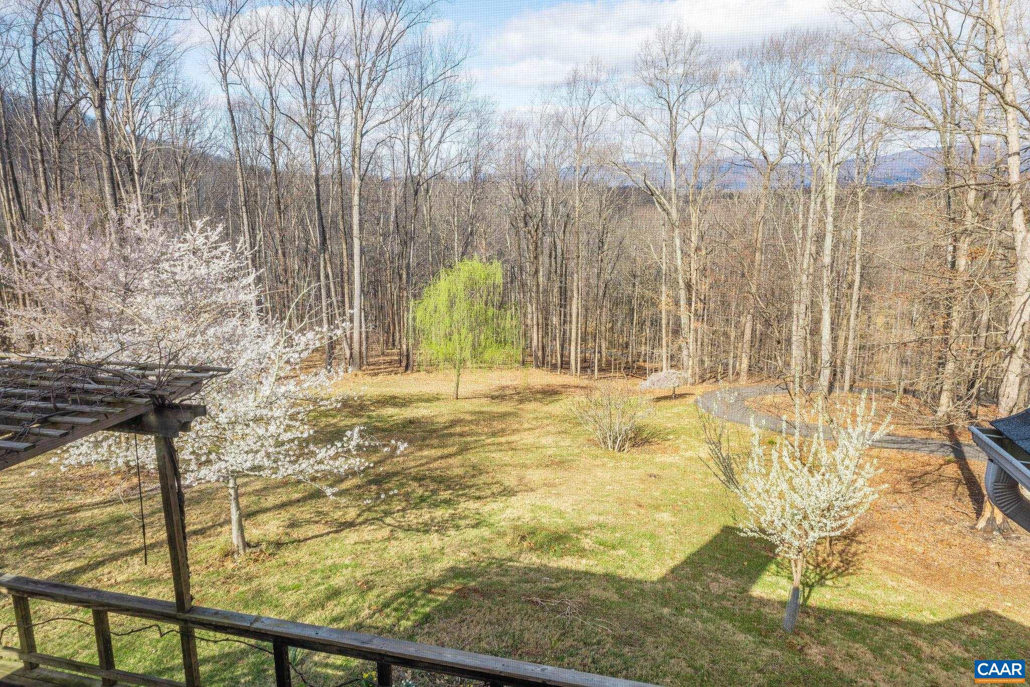 3655 Raleigh Mountain Trail Charlottesville, VA 22903 - Photo 28 of 54