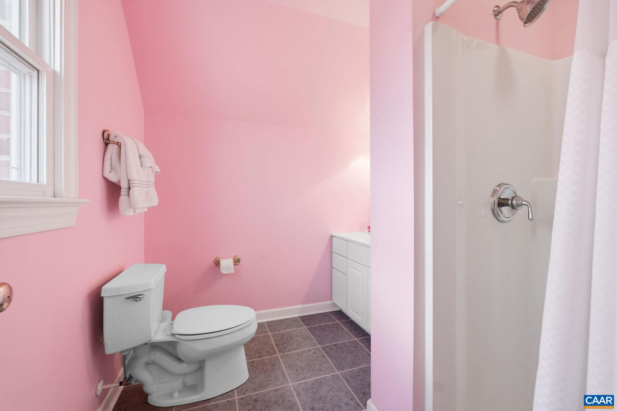 3655 Raleigh Mountain Trail Charlottesville, VA 22903 - Photo 36 of 54