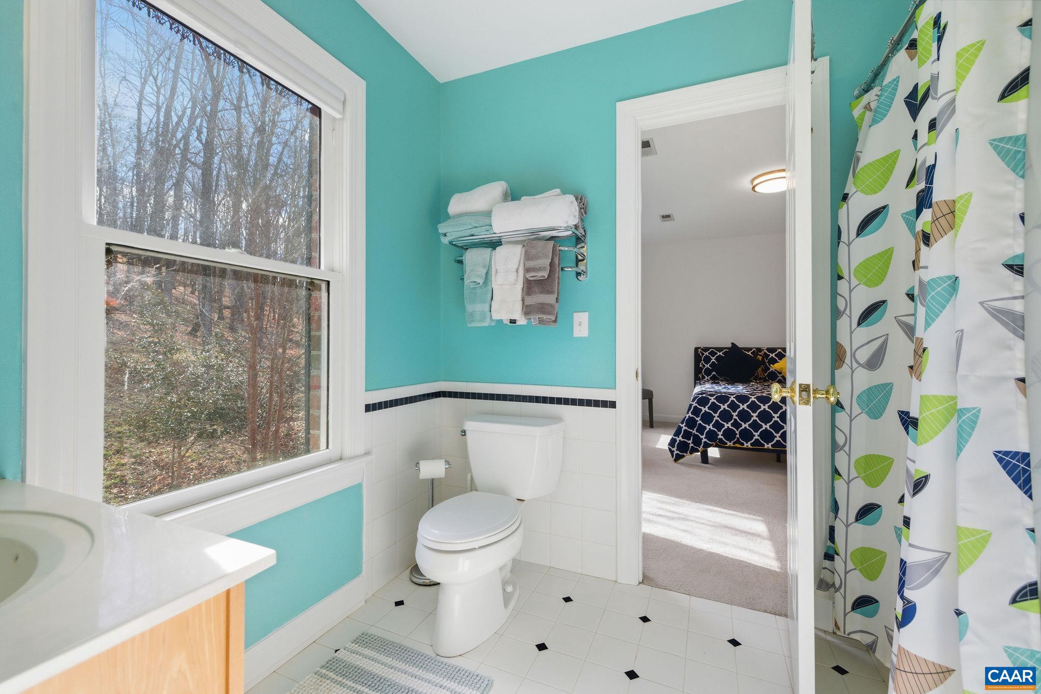 3655 Raleigh Mountain Trail Charlottesville, VA 22903 - Photo 40 of 54