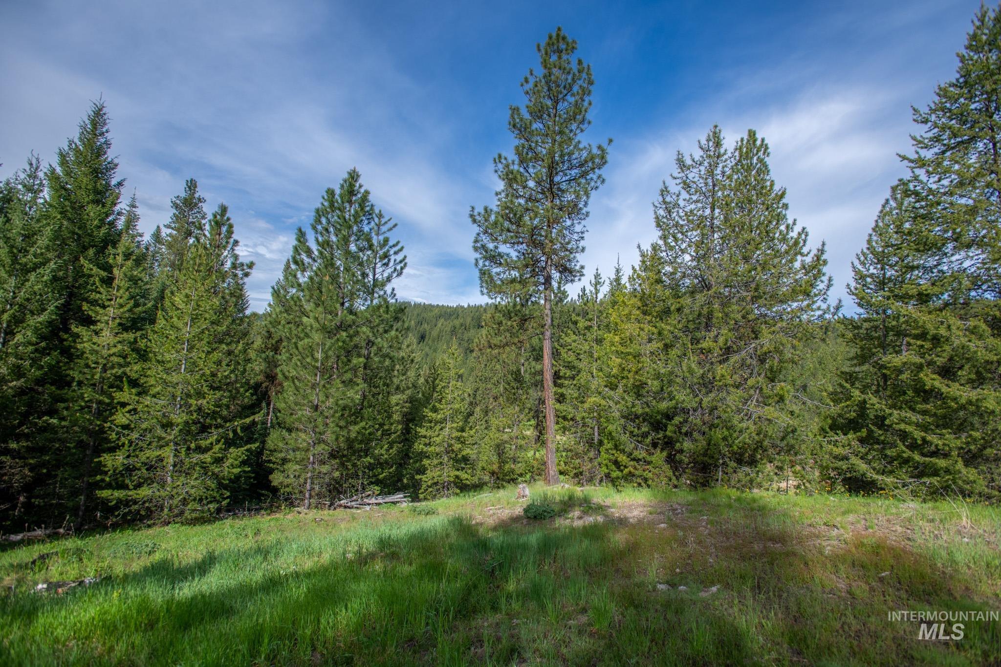 41 Clear Creek Road Cascade, ID 83611 - Photo 4 of 9