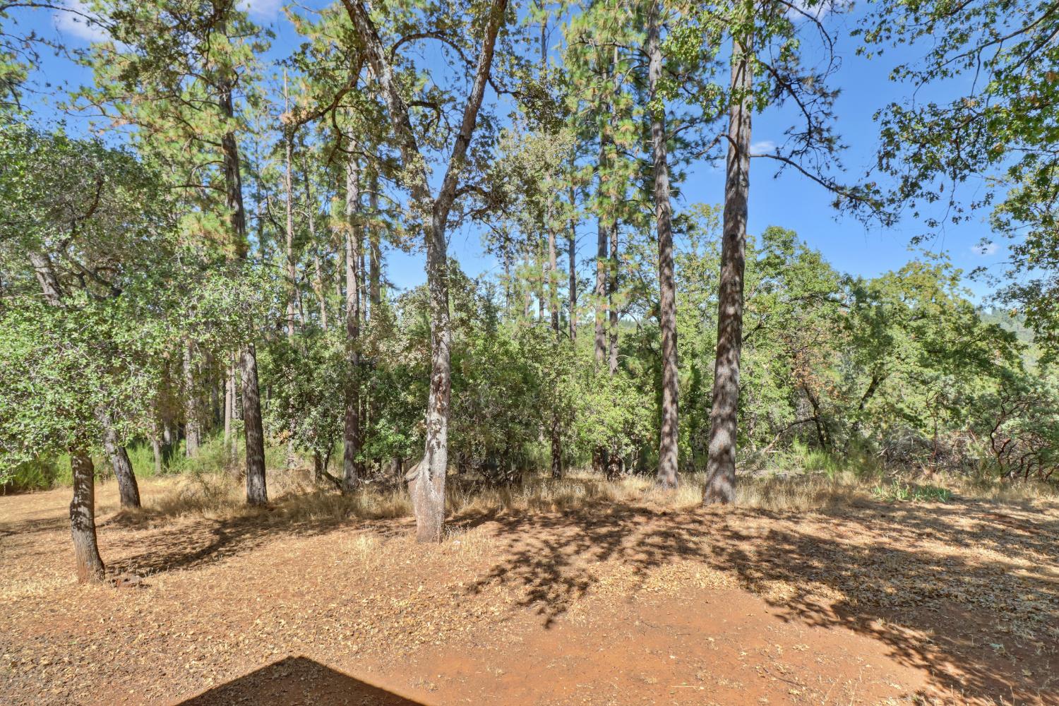 3135 Upper Black Rock Road Cool, CA 95614 - Photo 47 of 79