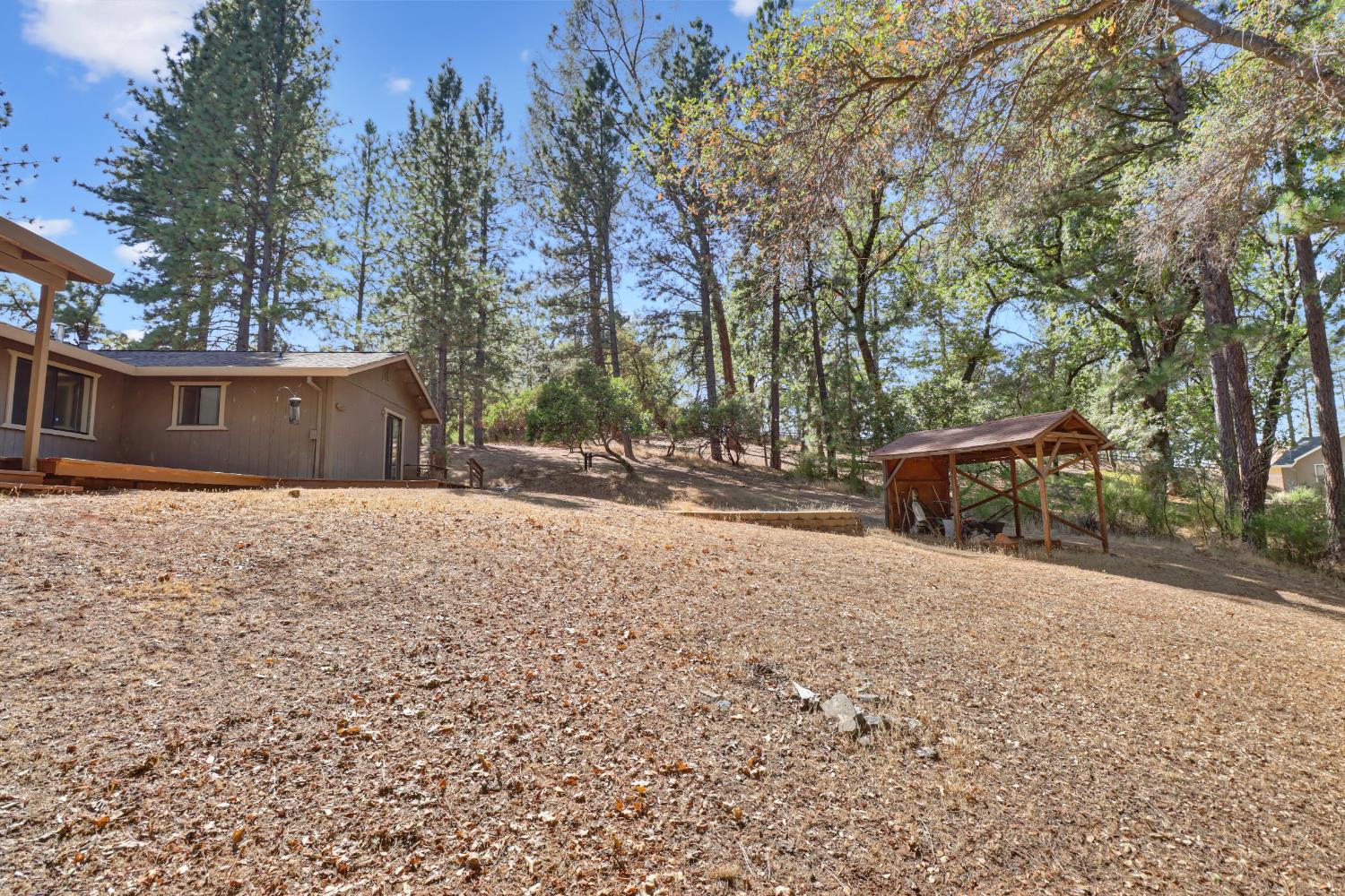 3135 Upper Black Rock Road Cool, CA 95614 - Photo 49 of 79