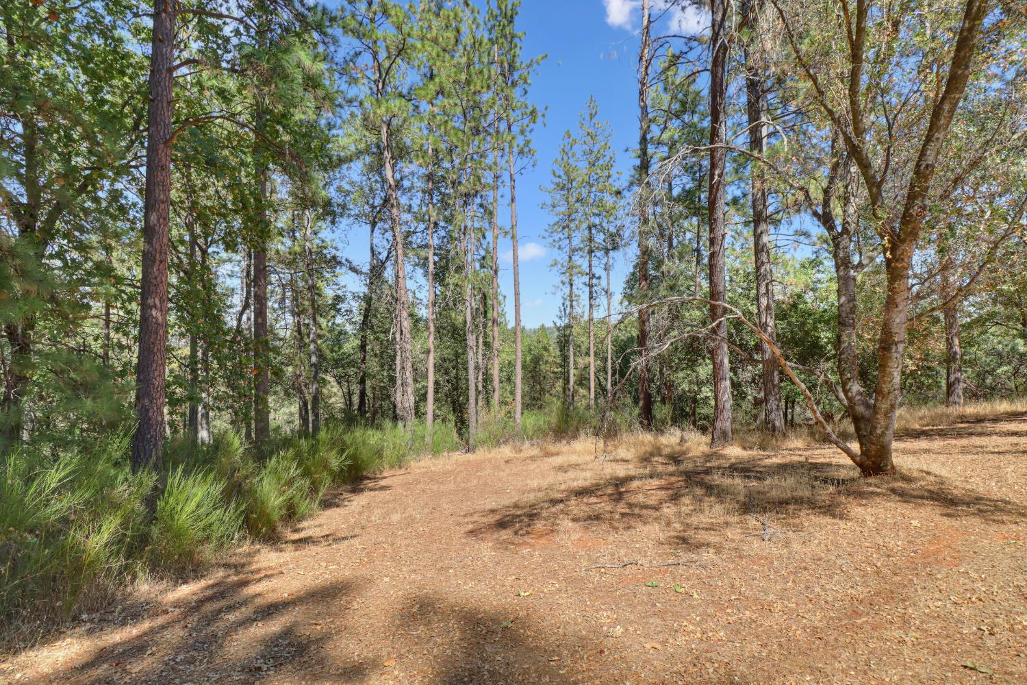 3135 Upper Black Rock Road Cool, CA 95614 - Photo 51 of 79