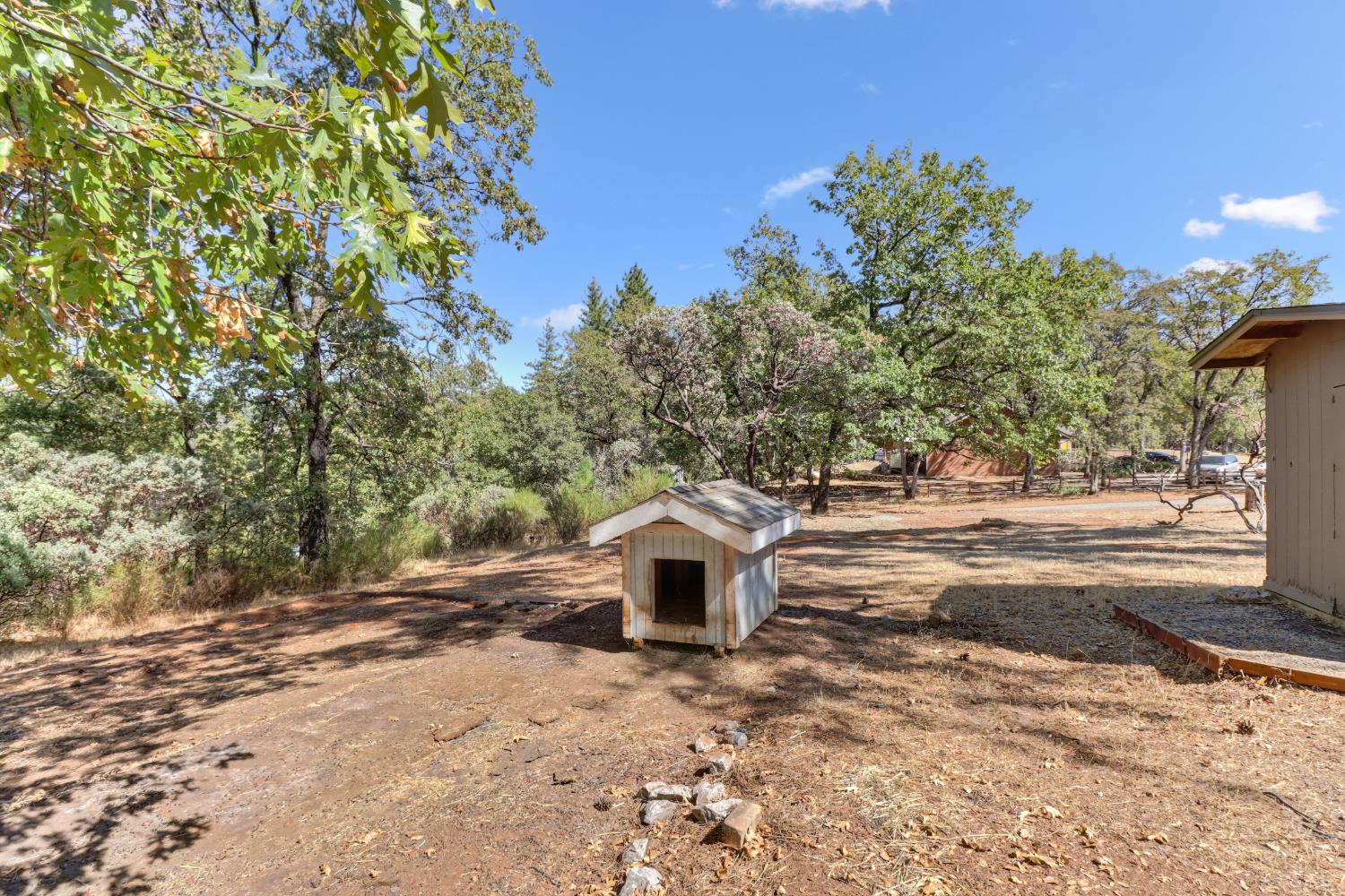 3135 Upper Black Rock Road Cool, CA 95614 - Photo 52 of 79