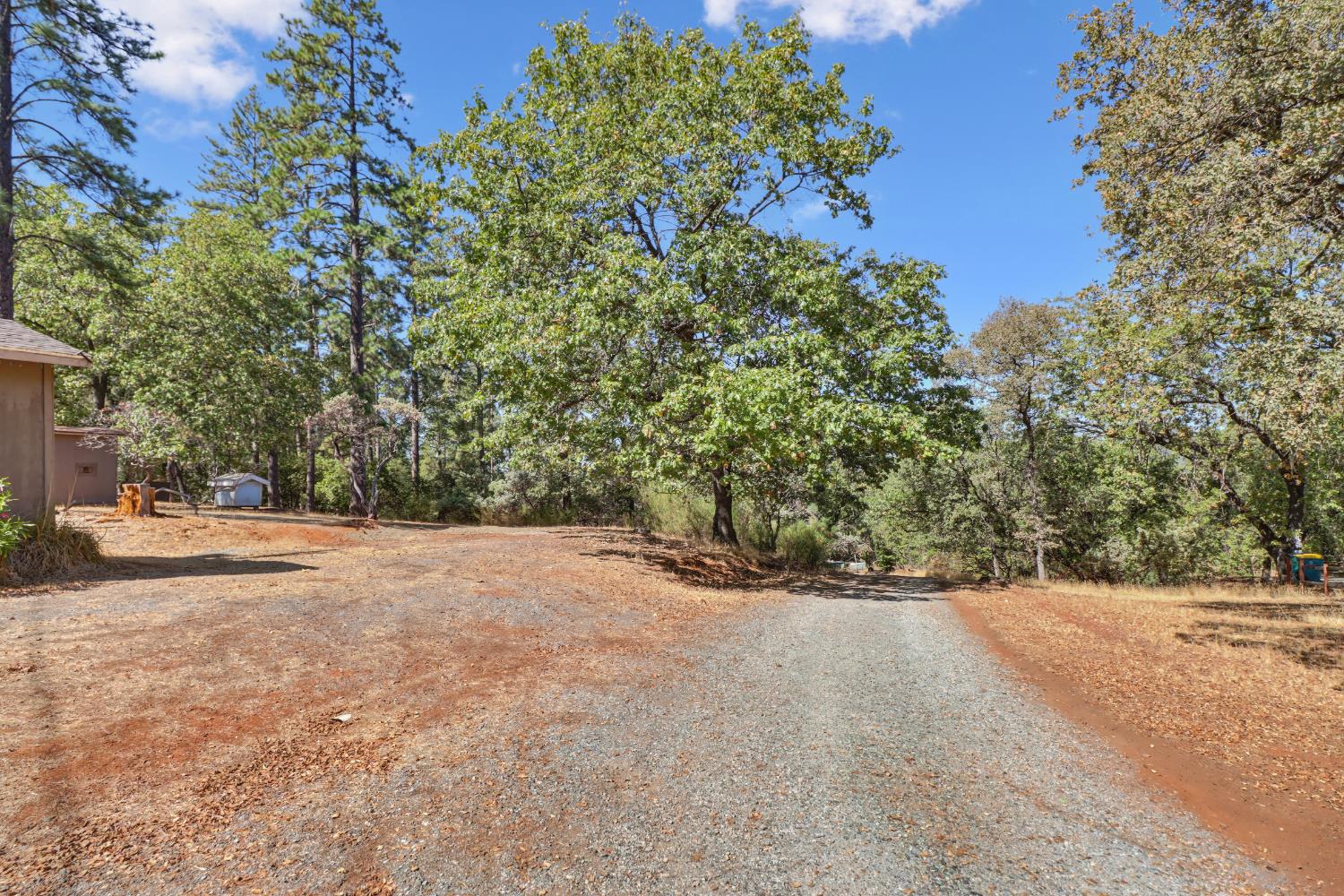 3135 Upper Black Rock Road Cool, CA 95614 - Photo 57 of 79