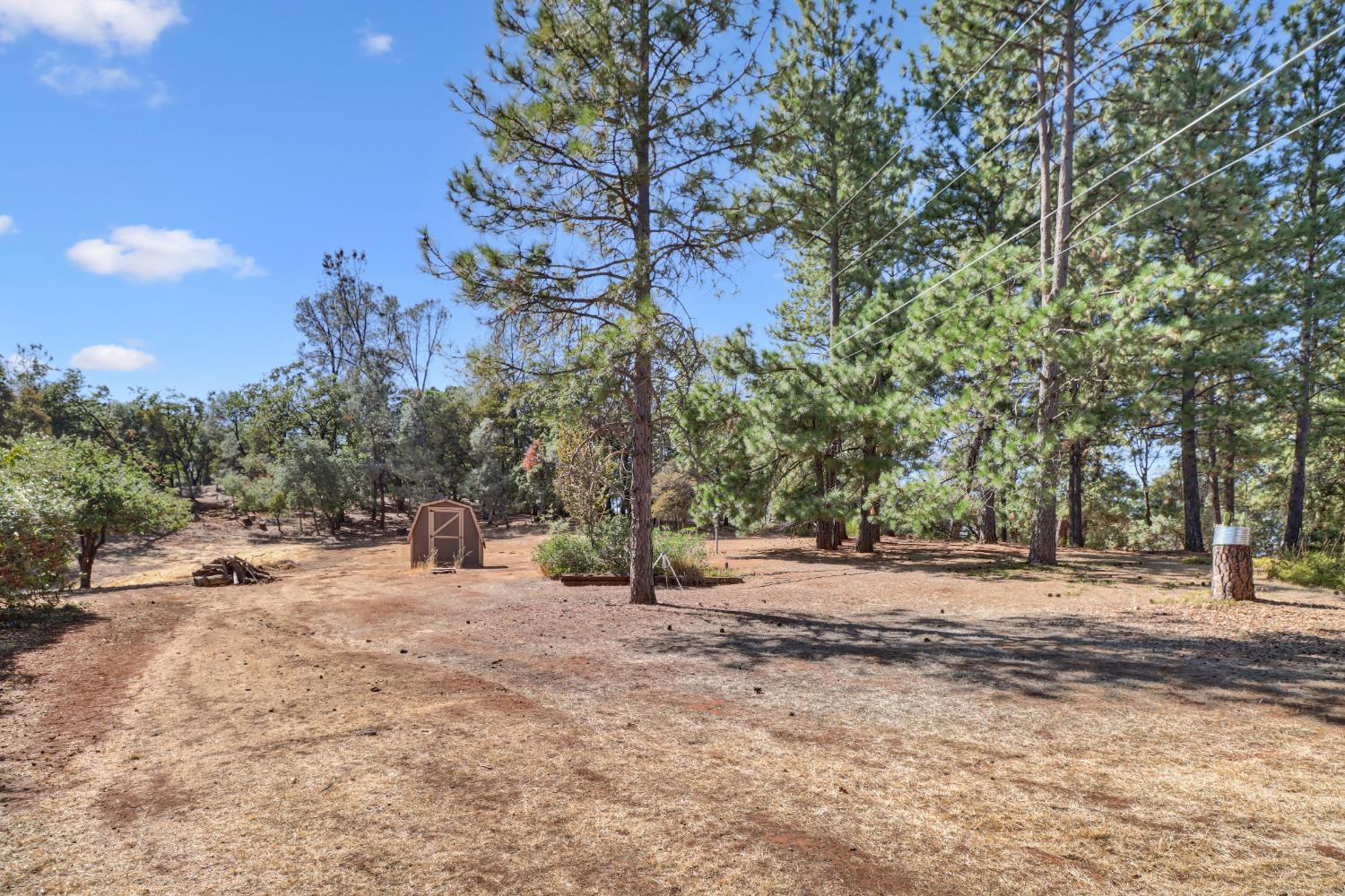 3135 Upper Black Rock Road Cool, CA 95614 - Photo 63 of 79